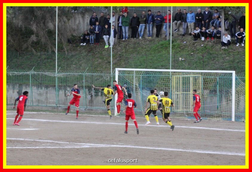 181111 Cepha_Milazzo 217_tn.JPG